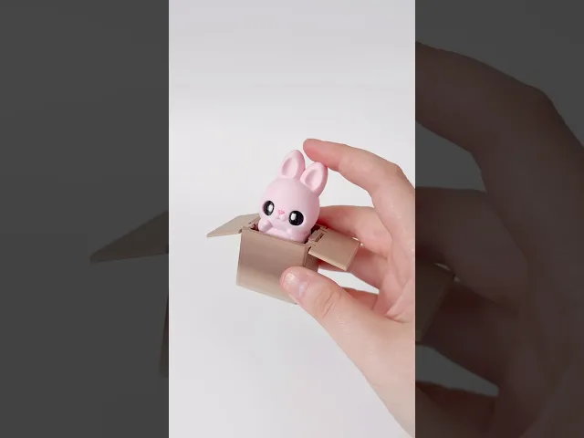 Box Clickers video thumbnail