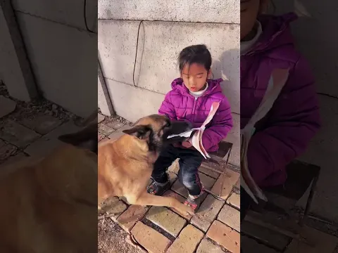 Great love❤️, dog saved girl❤️!! #dog #smartdog #funny #shorts #animals #shortsvideo