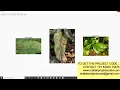 DETECTION OF PLANT LEAF DISEASE USING CONVOLUTIONAL NEURAL NETWORK
