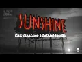 Cat Dealers LOthief Santti   Sunshine 432 Hz