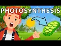 Unlocking the Secrets of Photosynthesis The Ultimate Educational Guide