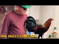Sacatiras Roundhead Sweater - OAK VALLEY FARM