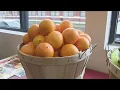 Making Buffalo s corner stores healthier