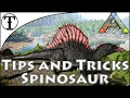 Fast Spinosaur Taming Guide Ark Survival Evolved Tips and Tricks