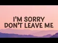 [1 HOUR 🕐] SLANDER - I'm sorry don't leave me Love Is Gone (Lyrics) ft Dylan Matthew Acoustic