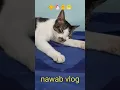 Download Lagu Dengar Kan lah