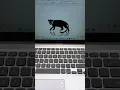 TIGER MS Word Symbol Shortcut Key