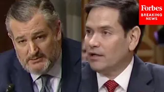 Marco Rubio Tells Ted Cruz: These Are The 3 Questions I'll Ask Regarding Every State Dept Program