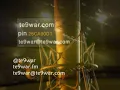 تحس فيني - مساعد البلوشي