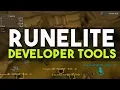 How to Enable Developer Tools in Runelite Detached Camera Ground Objects Ground Items OSRS