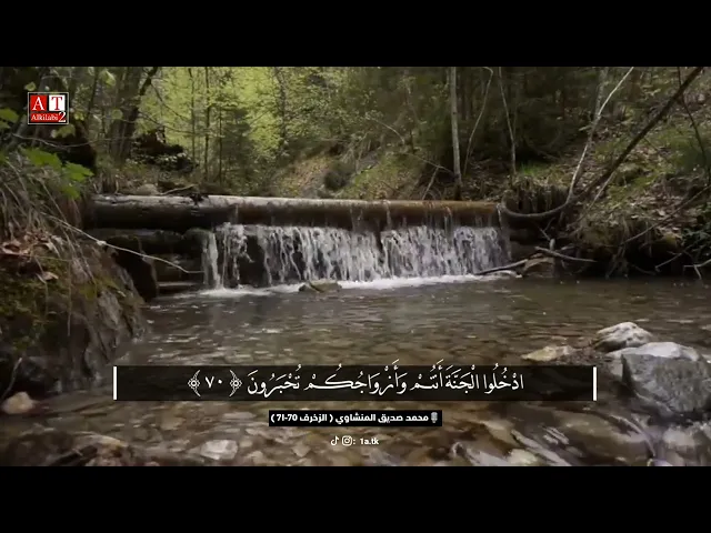 ⁣وَفِيهَا مَا تَشْتَهِيهِ الْأَنفُسُ وَتَلَذُّ الْأَعْيُنُ .. || الشيخ محمد صديق المنشاوي رحمه الله