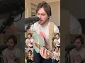better angels - marcus mumford cover | mr. mushroom