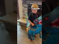 This hilarious inflatable dinosaur costume is every kid s dream come true