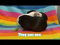 What color can Guinea Pig SEE