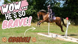 COOKIE, CLOUDY & FRIENDS GO CROSS COUNTRY!