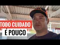 Download Lagu NOSSA PORQUINHA DO SÍTIO DEU CRIA. VAMOS TER QUE TER ATENÇÃO.