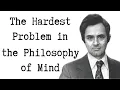 Download Lagu What is it Like to be a Bat? - the hard problem of consciousness