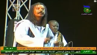 سيدي دوشكا سافرا مهرجان الجزيرة الثالث 2018م 