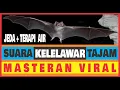 Download Lagu SUARA KELELAWAR MEMANGGIL TEMAN MP3 TAJAM | MASTERAN VIRAL | MASTERAN MURAI BATU