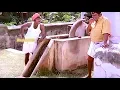 Download Lagu டேய் Idiot நா துபாய்ல  இருக்கும் போது அடிக்கடி பெட்ரோல்லதா எ வாய Washபண்ணுவGoundamani Senthil Comedy