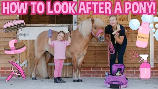 GIGI LEARNS HOW TO GROOM & RIDE A SHETLAND PONY!
