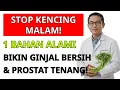 Lagu STOP KENCING MALAM ❗ 1 GELAS INI BISA Bersihkan Ginjal \u0026 Tenangkan Prostat