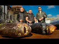 Download Lagu PIRANHAS on THE GRILL. WE COOKED A PIRANHA and ATE IT