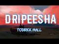 Todrick Hall - Dripeesha (Lyrics)