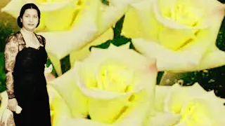 طريق حياتي الحب كله ام كلثوم 