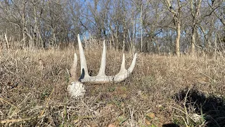 How to Find More Sheds