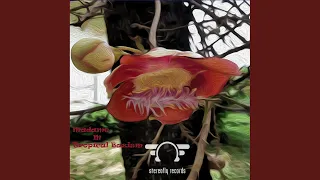 tropical bazism deep mix 