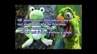Коломийки Потужний ЗЕбілізм виконує автор Міхалич м Херсон 