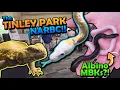 Attending a Huge Reptile Expo in Tinley Park NARBC 2024