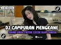 Download Lagu DJ CAMPURAN MENGKANE JEDAG JEDUG VIRAL TIKTOK YANG KALIAN CARI INI YA  !