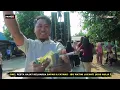 Download Lagu 🟡ANDI PUTRA 1|BASAH BASAH|WINDA DWI LESTARI|DS KROYA BLOK RANCAKITIRAN KROYA INDRAMAYU