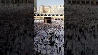 اللهم أغفر له أرحمه ياأرحم الراحمين دندنها