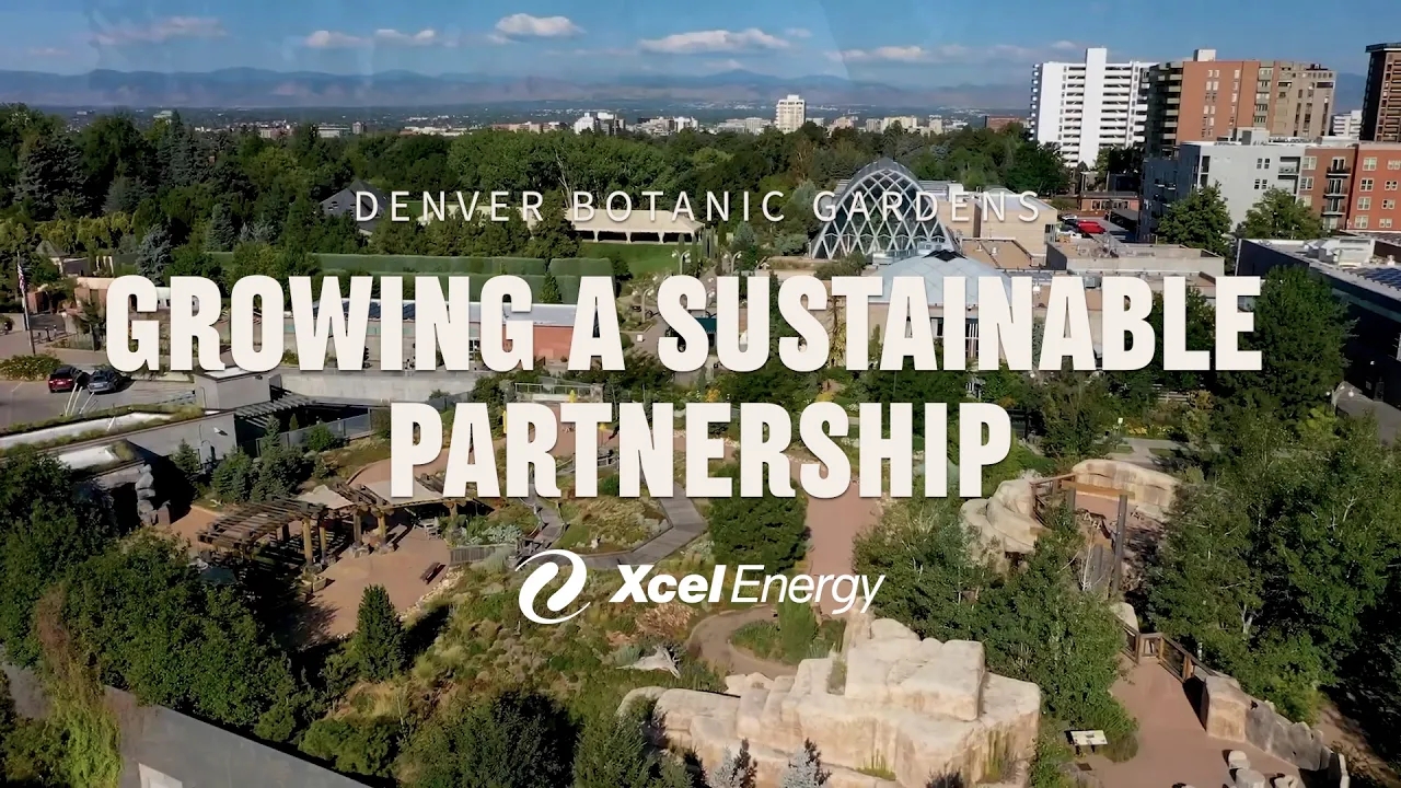 Xcel Energy — Denver Botanic Gardens & Xcel Energy: Growing a Sustainable Partnership (YouTube video ad)
