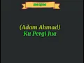 Adam Ahmad - Kau Pergi Jua [Lirik]