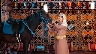 هدوء الليل   عبدالفتاح الفقيه    حصريا          دندنها