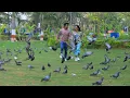 Download Lagu #hey rangule #song #2025 #preewedding shoot @siri-art-and-crafts #siriVijay
