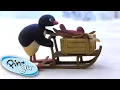 Download Lagu Pingu Goes Shopping for Fish Presents! | Pingu Official | Cartoons for Kids