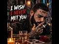 I Wish I Never Met You