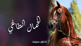 شيلة عروس الجمال الطاغي رقص حماسيه 2024 ادا نايف سليمان رقص حماسيه 2024 