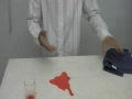 The ShamWOOHOO