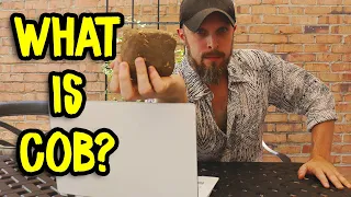 What is Cob Excerpt from Build a Cob House