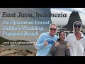 Lagu East Java ADVENTURE: Jungle Forest, Indonesian Wedding \u0026 Papuma Beach! 🇮🇩  - EAST JAVA, INDONESIA