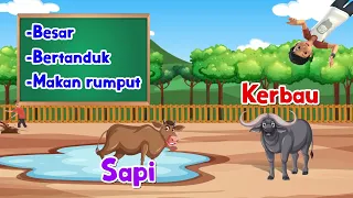 Kerbau dan Sapi  - Adit & Sopo Jarwo Ceria (Cerdas dan Bahagia)