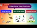 Download Lagu Interaksi Makhluk Hidup dengan Lingkungan (Part 3) Aliran Energi Dalam Ekosistem