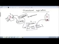 SQL Server Replication - Part 3