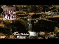 Download Lagu Rimba Cintaku - Medicine